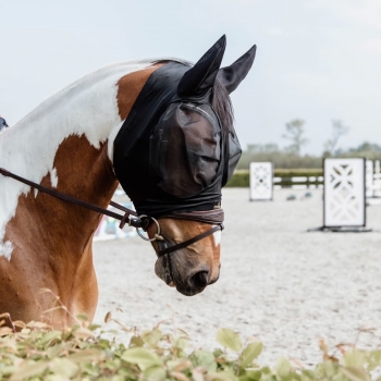 masque anti mouches slim fit