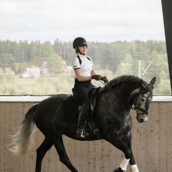 Correcteur de posture BACK ON TRACK®