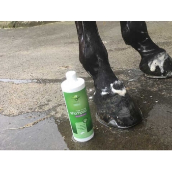 Shampooing ANIMADERM - TEA TREE