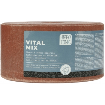 Pierre à sel HIPPOTONIC - Vitalmix