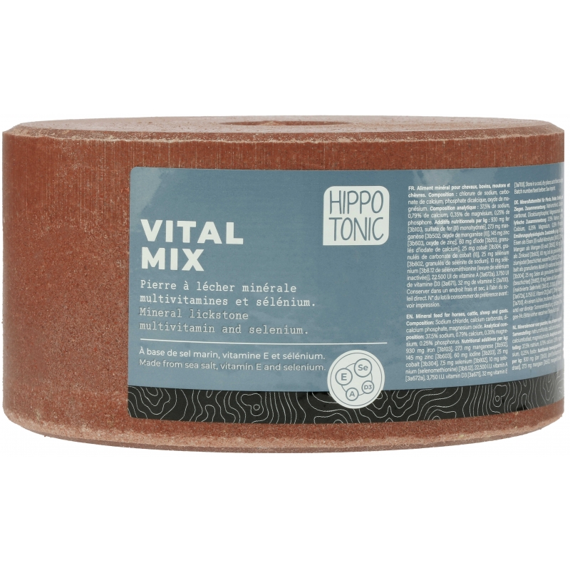 Pierre à sel HIPPOTONIC - Vitalmix