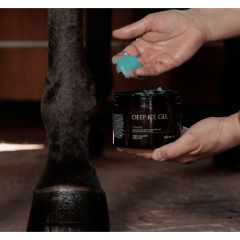 Deep Ice Gel