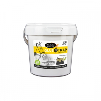 GLUE N'TRAP Qui s'y frotte s'y colle !