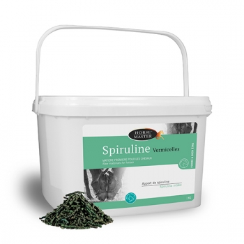 SPIRULINE VERMICELLES