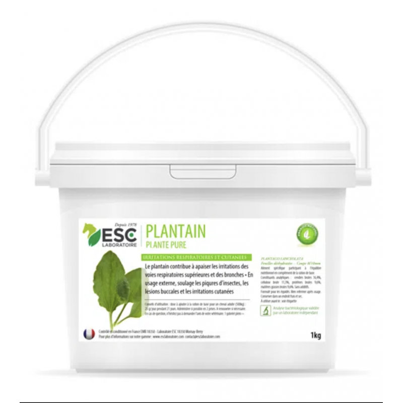 PLANTAIN – Respiration et irritations cutanées cheval – Plante pure