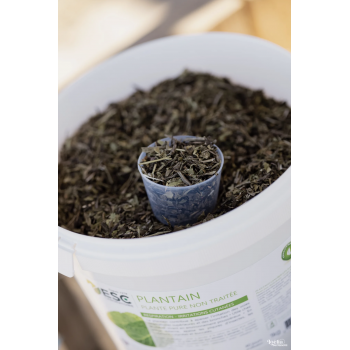 PLANTAIN – Respiration et irritations cutanées cheval – Plante pure