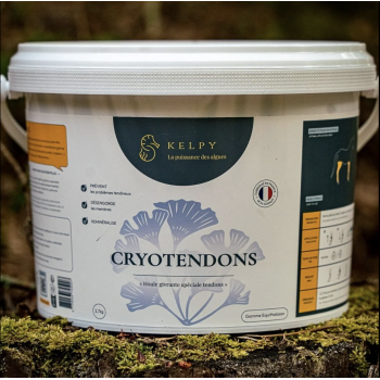 Cryotendons (équin)