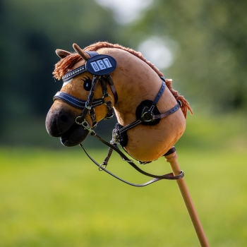 Cheval bâton Hobby horse