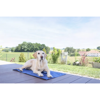 Tapis rafraîchissant Cool-Relax
