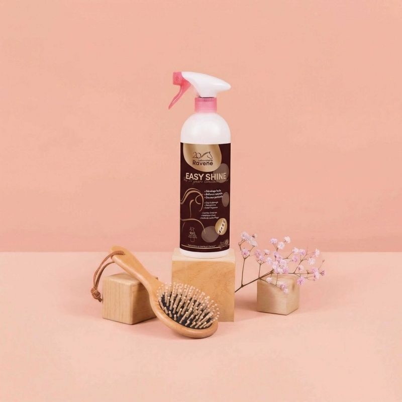 Easy Shine RAVENE - Démêlant Lustrant Édition Limitée 20 ans