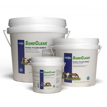SAND CLEAR 99 - Source de Psyllium
