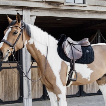 TAPIS DE SELLE SKIN-FRIENDLY VELVET