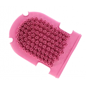 Gant étrille + brosse HIPPOTONIC