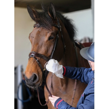 Gants de nettoyage Belvoir® CARR & DAY & MARTIN