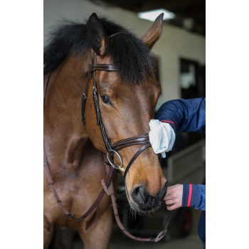 Gants de nettoyage Belvoir® CARR & DAY & MARTIN