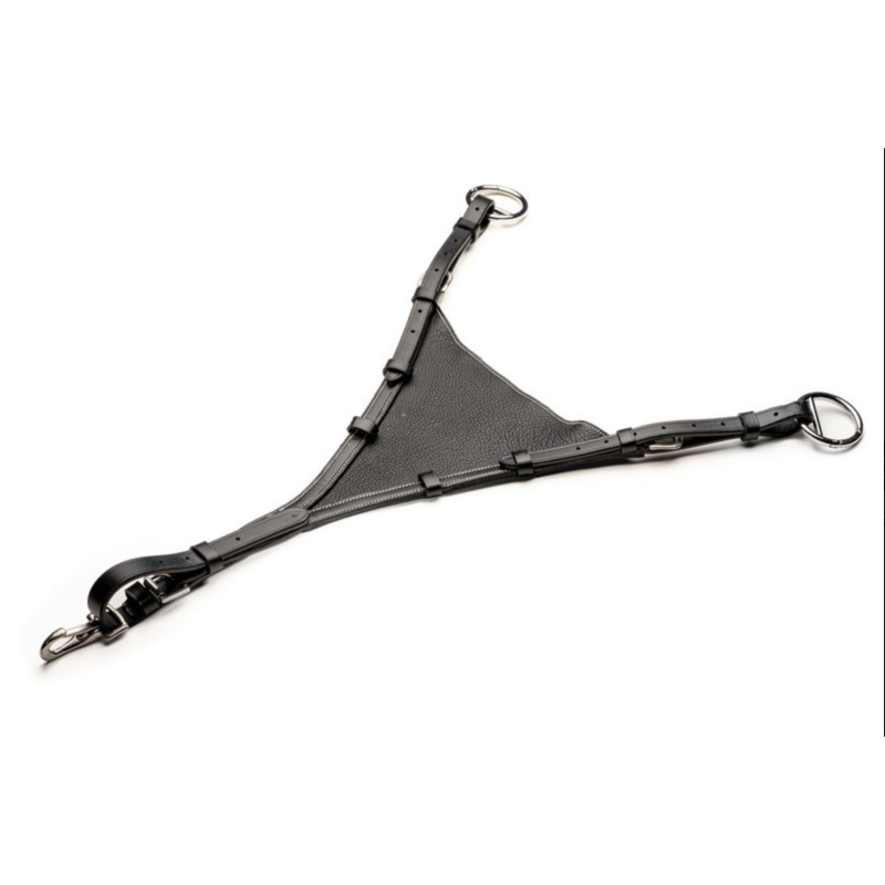 FOURCHE DE MARTINGALE PLEINE