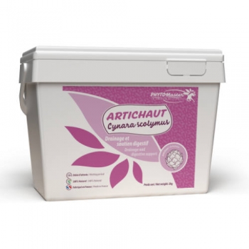 ARTICHAUT Drainage et soutien digestif