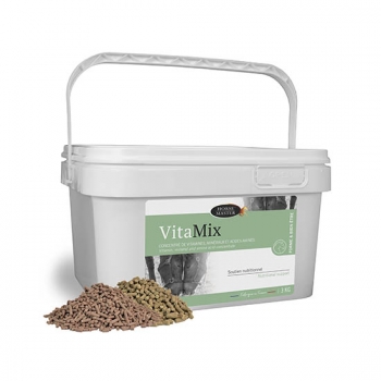 VITAMIX Concentré de vitamines