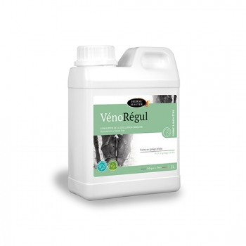 VENOREGUL Circulation sanguine