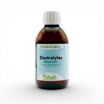 Electrolytes Chien & chat