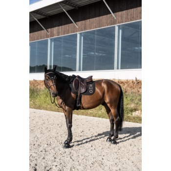 Tapis Ten Obstacle