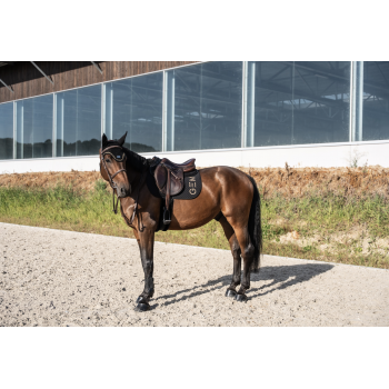 Tapis Ten Obstacle