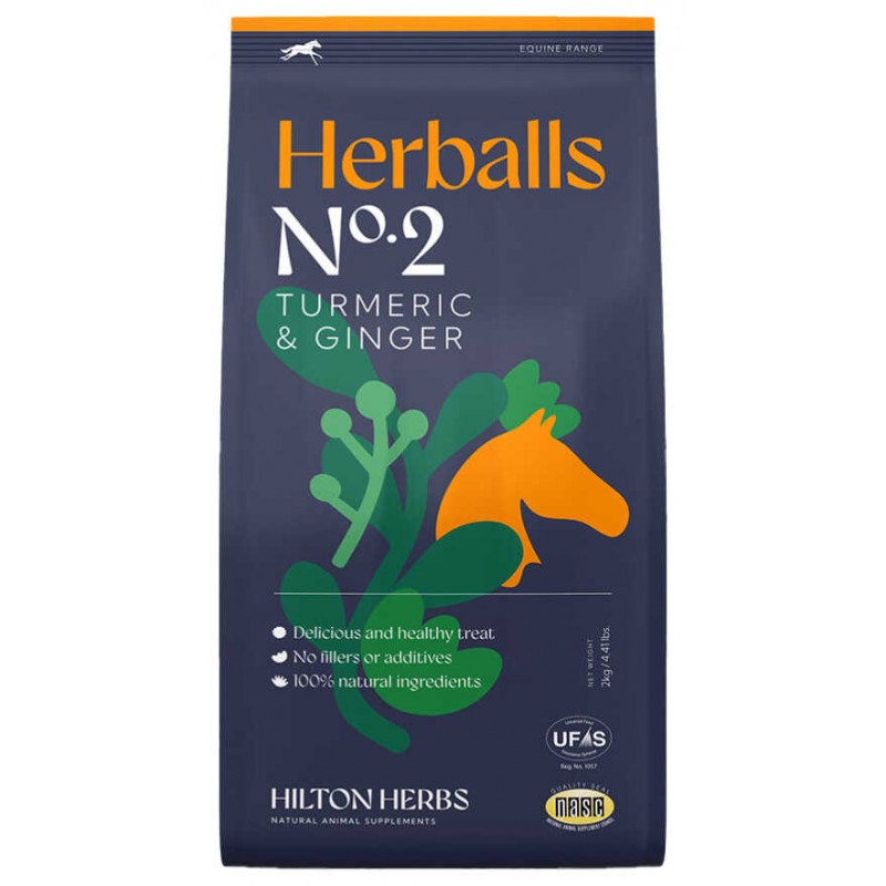 Herballs HILTON HERBS - Curcuma & Gingembre