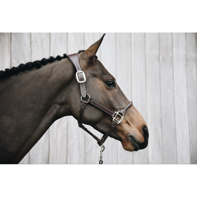 LICOL ANATOMIQUE EN CUIR Myhorsely I L'équipement des chevaux et du cavalier. Magasin en ligne d'équitation dédié au cavalier