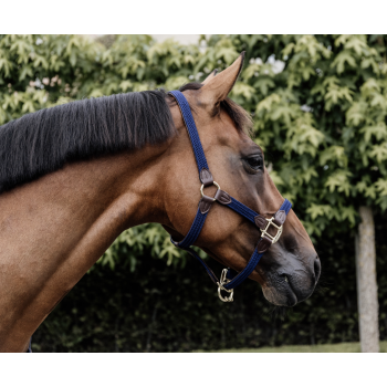 LICOL EN NYLON TRESSÉ Myhorsely I L'équipement des chevaux et du cavalier. Magasin en ligne d'équitation dédié au cavalier