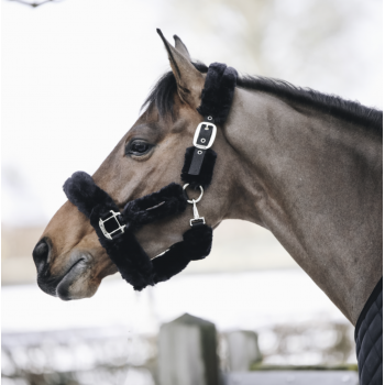 LICOL DE TRANSPORT MOUTON Myhorsely I L'équipement des chevaux et du cavalier. Magasin en ligne d'équitation dédié au cavalier