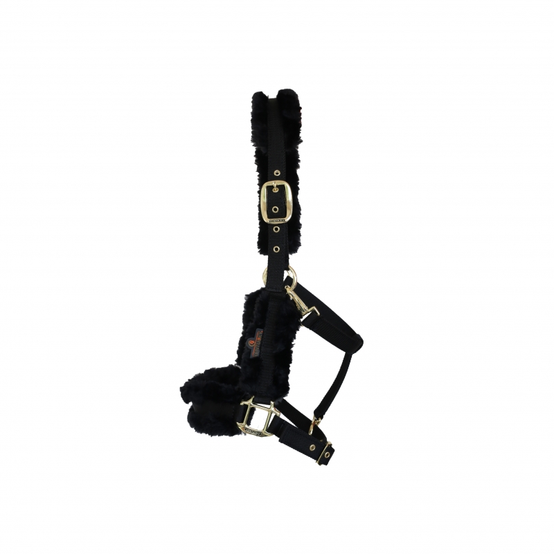 LICOL EN NYLON MOUTON Myhorsely I L'équipement des chevaux et du cavalier. Magasin en ligne d'équitation dédié au cavalier LICOL EN NYLON MOUTON Myhorsely I L'équipement des chevaux et du cavalier. Magasin en ligne d'équitation dédié au cavalier