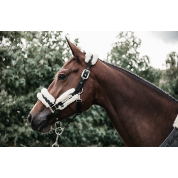 LICOL EN NYLON MOUTON Myhorsely I L'équipement des chevaux et du cavalier. Magasin en ligne d'équitation dédié au cavalier