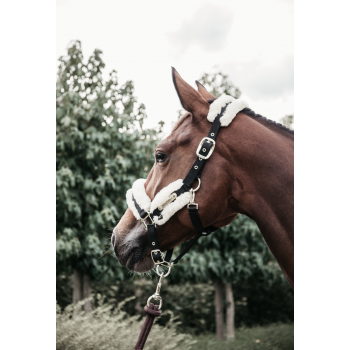 LICOL EN NYLON MOUTON Myhorsely I L'équipement des chevaux et du cavalier. Magasin en ligne d'équitation dédié au cavalier