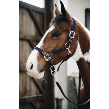 LONGE EN NYLON TRESSÉ Myhorsely I L'équipement des chevaux et du cavalier. Magasin en ligne d'équitation dédié au cavalier