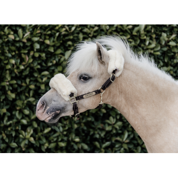 LICOL EN CUIR MOUTON Myhorsely I L'équipement des chevaux et du cavalier. Magasin en ligne d'équitation dédié au cavalier