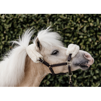 LICOL EN CUIR MOUTON Myhorsely I L'équipement des chevaux et du cavalier. Magasin en ligne d'équitation dédié au cavalier