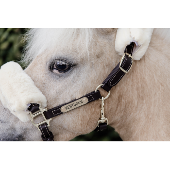 LICOL EN CUIR MOUTON Myhorsely I L'équipement des chevaux et du cavalier. Magasin en ligne d'équitation dédié au cavalier