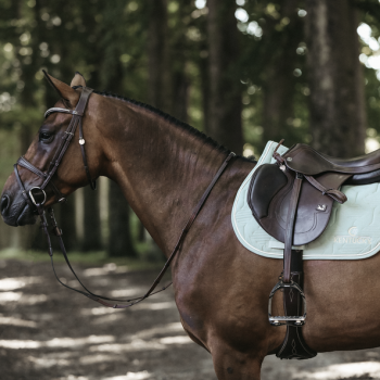 TAPIS COLOR EDITION JUMPING Myhorsely I L'équipement des chevaux et du cavalier. Magasin en ligne d'équitation dédié au cavalier