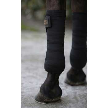BANDES DE POLO ÉLASTIQUES - SET DE 2 Myhorsely %description_short|limit|%