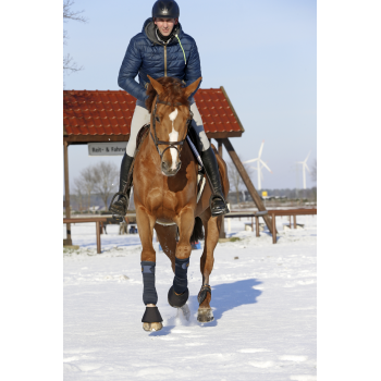 CLOCHES SOLIMBRA Myhorsely I L'équipement des chevaux et du cavalier. Magasin en ligne d'équitation dédié au cavalier