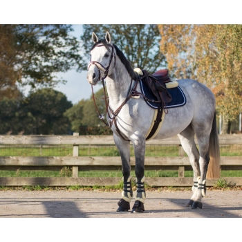 Sangle anatomique Ontario Myhorsely I L'équipement des chevaux et du cavalier. Magasin en ligne d'équitation dédié au cavalier