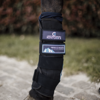CRYO ICE BOOTS SET DE 2 Myhorsely I L'équipement des chevaux et du cavalier. Magasin en ligne d'équitation dédié au cavalier