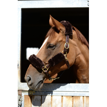 SET DE FOURREAUX POUR LICOL Myhorsely I L'équipement des chevaux et du cavalier. Magasin en ligne d'équitation dédié au cavalier