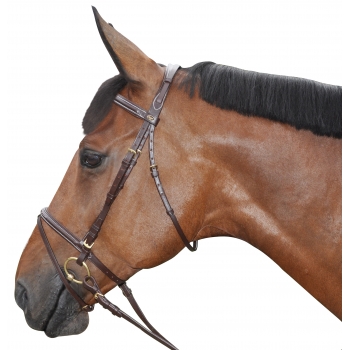 Bridon Surpiqué - Combiné Myhorsely I L'équipement des chevaux et du cavalier. Magasin en ligne d'équitation dédié au cavalier