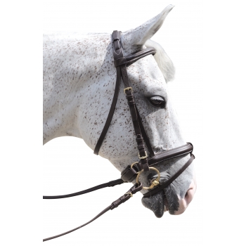 Bridon EURO - Pull Myhorsely I L'équipement des chevaux et du cavalier. Magasin en ligne d'équitation dédié au cavalier