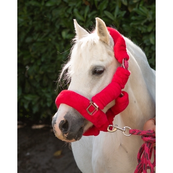Licol Alaska Myhorsely I L'équipement des chevaux et du cavalier. Magasin en ligne d'équitation dédié au cavalier