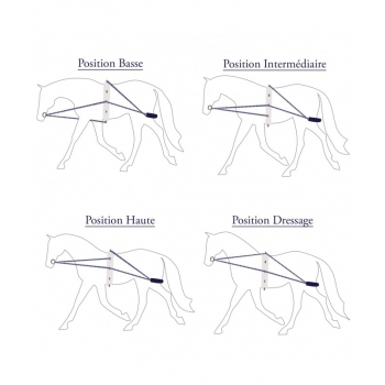 Enrênement Privilège Corde Myhorsely I L'équipement des chevaux et du cavalier. Magasin en ligne d'équitation dédié au cavalier