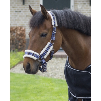 Licol fourré avec longe Myhorsely I L'équipement des chevaux et du cavalier. Magasin en ligne d'équitation dédié au cavalier