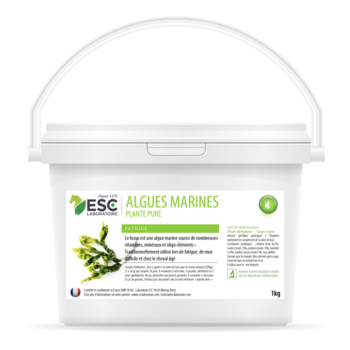 Algues Marines – Fatigue et baisse de forme cheval – Plante pure Myhorsely %description_short|limit|%