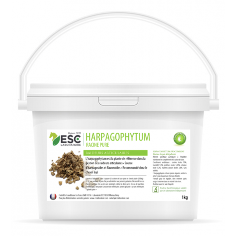 Harpagophytum – Arthrose et raideurs cheval – Plante pure Myhorsely %description_short|limit|% Harpagophytum – Arthrose et raideurs cheval – Plante pure Myhorsely %description_short|limit|%